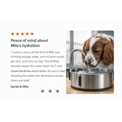 PetPals™ Water Fountain Bowl
